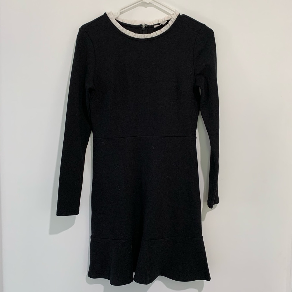 NWT sz 2 petite LOFT black dress white collar NEW